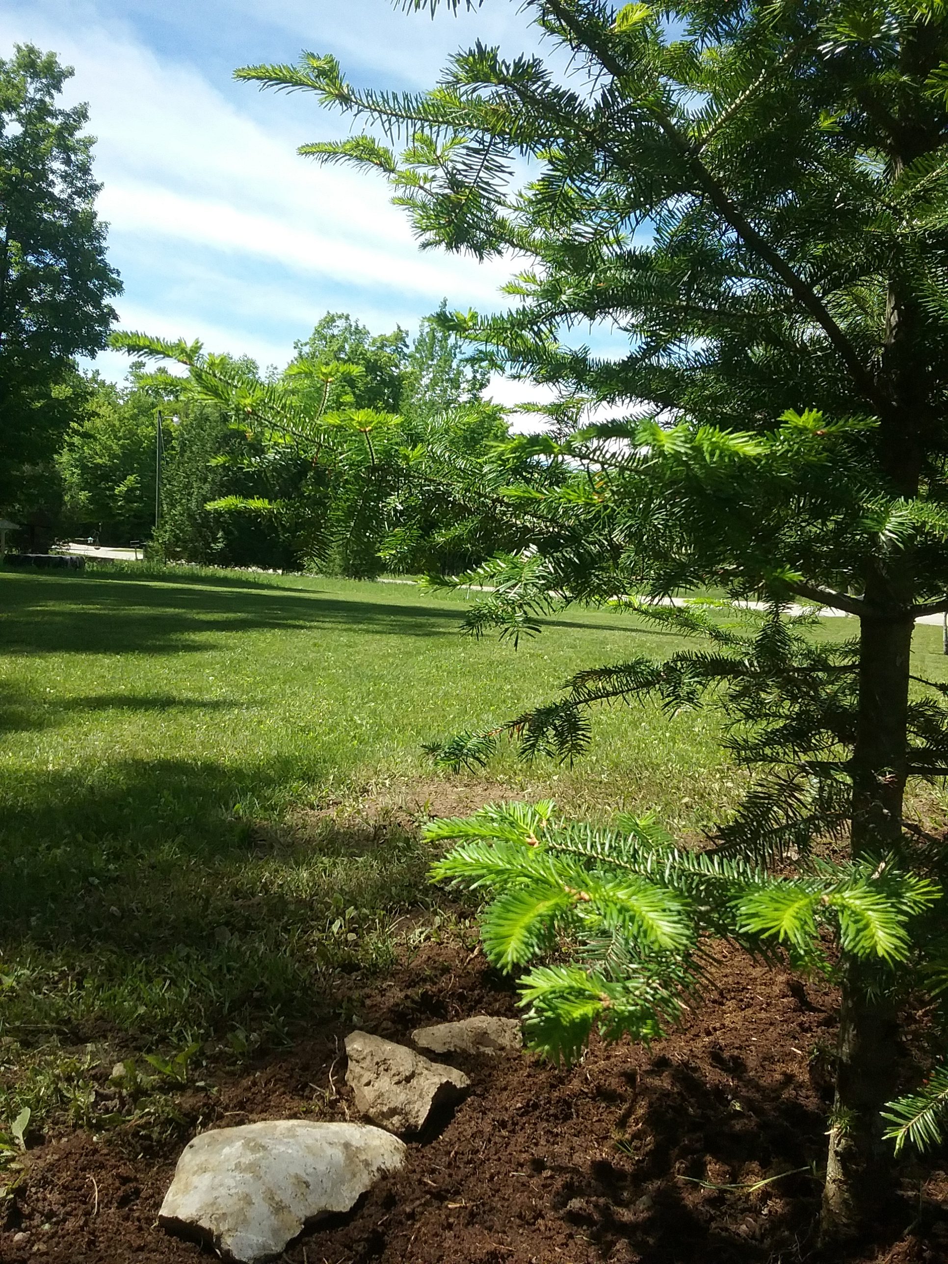 Understanding Tribal Business Structures: A Guide to Economic Sovereignty