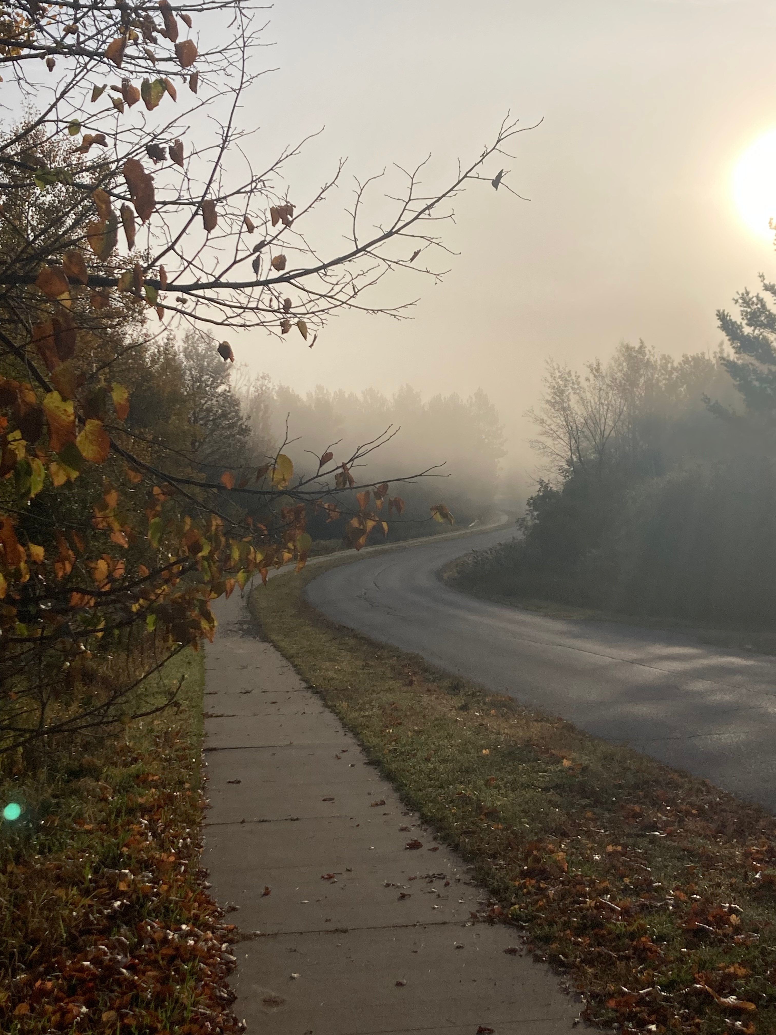 The Hidden Architecture of Sovereignty: 5 Lessons from Tribal Gaming Law