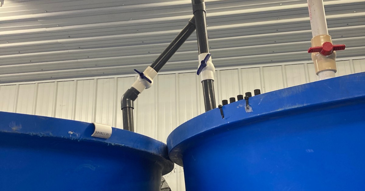 Blue water tanks and pipes inside a tribal business facility
